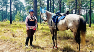 Drafted OTTB ex-racehorse retired racehorse endurance ride trail training obstacle AERC Assateague ponies beach aftercare 